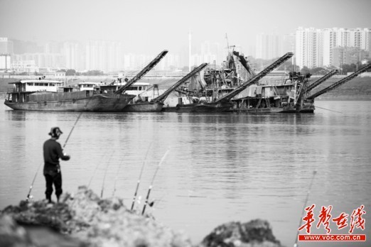 11月6日，长沙市猴子石大桥西，几艘砂船正在江心作业挖砂。 记者 李丹 实习生 刘佳佳 摄