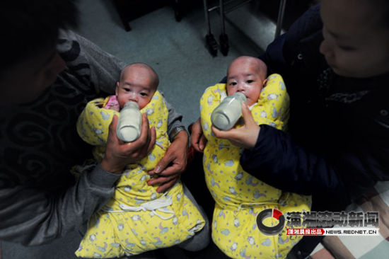2月2日，湖南省儿童医院新生儿专用母婴同室病房，父母给千言万语姐妹俩喂奶吃。