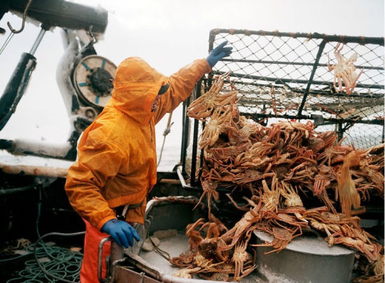 [美食趣闻]世界上最危险的工作--阿拉斯加捕蟹