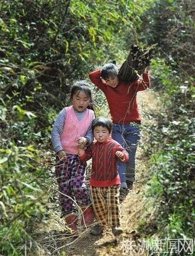 砍完竹子，身材瘦小的杨天妹背着一大捆竹子下山，女儿牵着手走在前面，她也放心