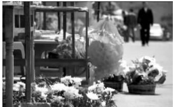  4月3日，长沙市一些陵园外的摊子，售卖的纸花和菊花悄悄涨价。 记者 李丹 摄