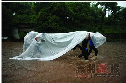 昨日，长沙马栏山，没有雨伞，路人用塑料布挡雨。微博图片