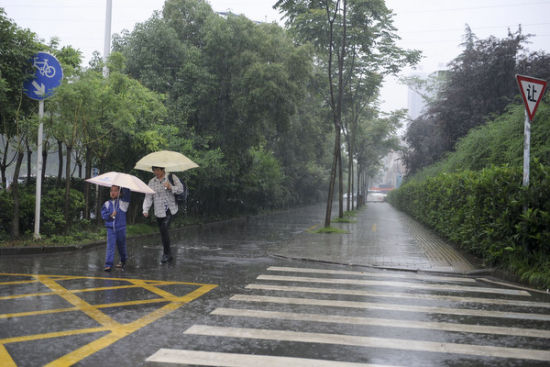 连日来湖南多雨日。今明仍旧是下雨。图/长株潭报记者 陈杰