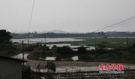 规划中可能的建设地点：湖南长沙望城区大泽湖畔 早报记者 李云芳 图