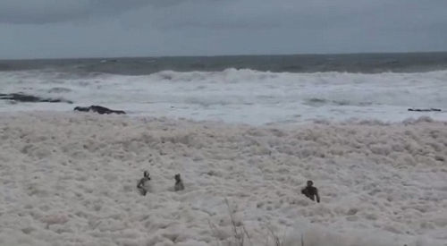 澳大利亚的一个海滩上出现海浪泡沫奇观。