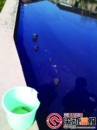 泥鳅放入鑫龙公司排出的废水中，30分钟就死亡了。