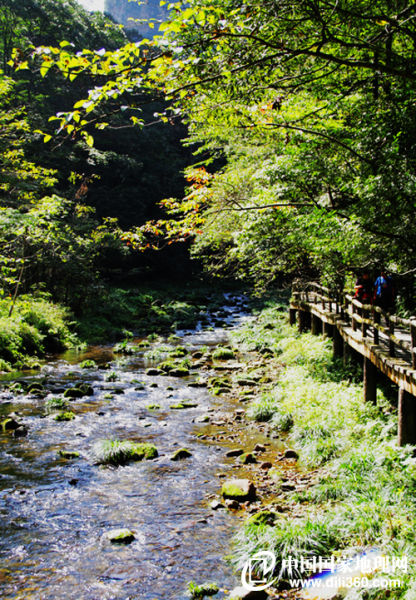 世界自然遗产：张家界国家森林公园之金鞭溪。作者：sunny2329