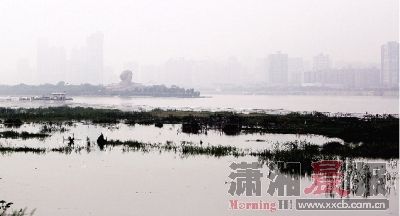 7月19日上午，湘江长沙段，原来裸露的河床已经被河水淹没。图/记者殷建军