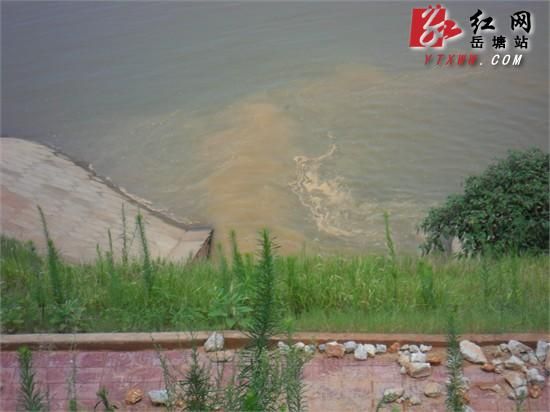污水未经处理流入湘江