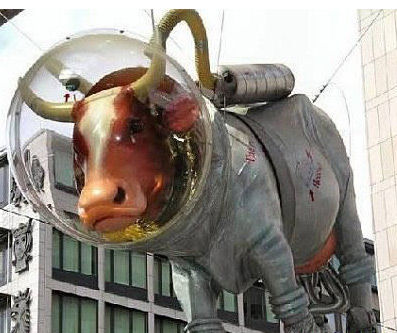奥地利萨尔斯堡的“太空牛”雕塑