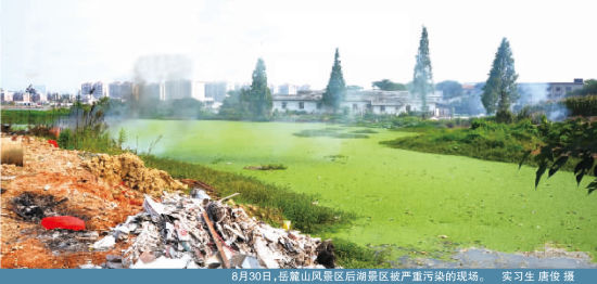 8月30日，岳麓山风景区后湖景区被严重污染的现场 实习生 唐俊 摄