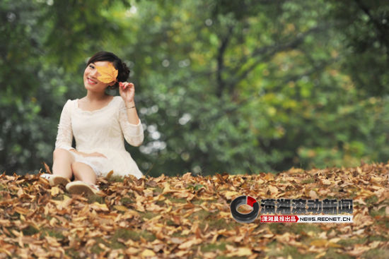 (9月26日株洲神农公园一片落满黄叶的草地上坐着一名美女在拍着写真。图/潇湘晨报-长株潭报滚动新闻记者 周健)
