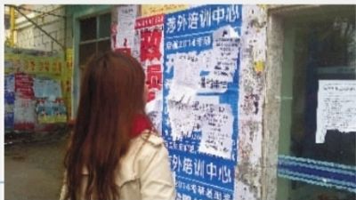 ▲11月19日，湖南涉外经济学院，一名学生正在查看校园兼职信息。 记者 戴鹏 摄 