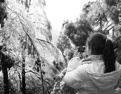 湖南衡山，游客在拍照留念。刘爱成