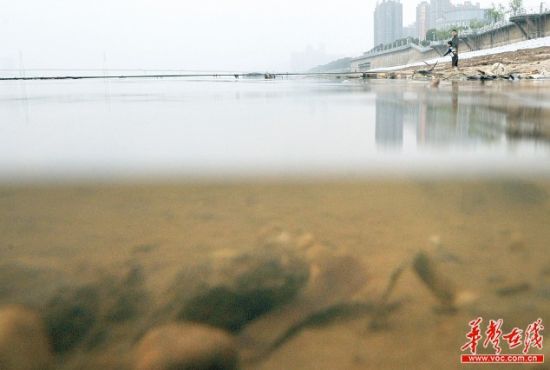 3月17日，长沙市湘江风帆广场段。江滩边，江水微黄。作为市民的饮用水源地，湘江水质备受关注。 记者 李丹 摄