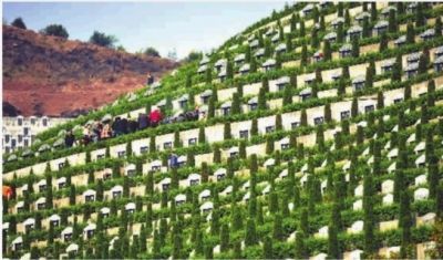 长沙公墓管理费不设限20年后不续费骨灰被迁