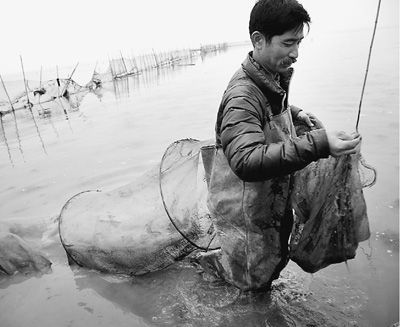 岳阳市江豚保护协会志愿者、老渔民范钦贵正在清除一处“迷魂阵”。本报记者周立耘摄