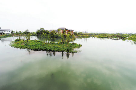 洋湖垸原是湘江边上的行洪垸，如今成了中部最大的城市湿地公园。
