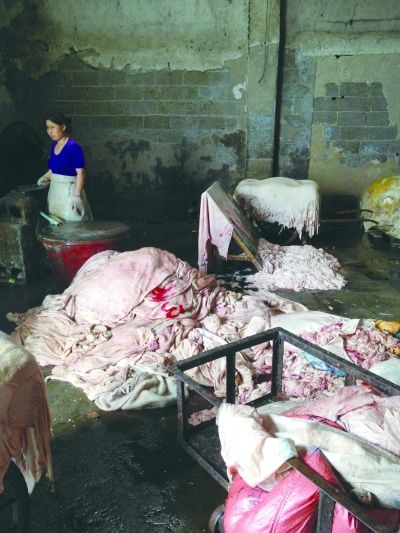 皮革厂工人将猪油从发臭的猪皮上刮下来后，就地堆放在血水浸泡的地面上
