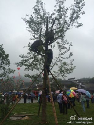 湖南国际旅游节火爆开幕 场外观众爬树爬路灯观看