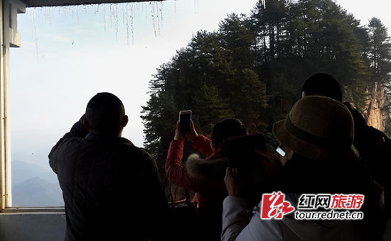 游客们在景区内拍照观赏。